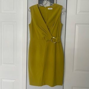 NWOT Woman Dress